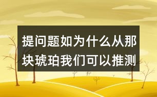 提問題如：為什么從那塊琥珀我們可以推測出幾千萬年前故事？