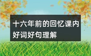 十六年前的回憶課內好詞好句理解