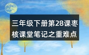 三年級下冊第28課棗核課堂筆記之重難點(diǎn)歸納