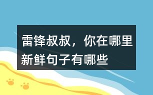 雷鋒叔叔，你在哪里新鮮句子有哪些
