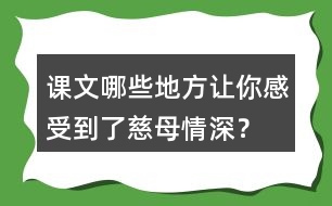 課文哪些地方讓你感受到了慈母情深？