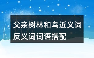 父親、樹林和鳥近義詞反義詞詞語搭配