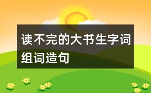 讀不完的大書生字詞組詞造句