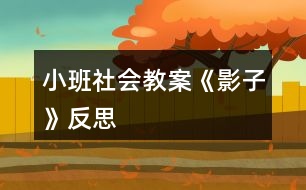 小班社會教案《影子》反思