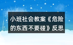 小班社會(huì)教案《危險(xiǎn)的東西不要碰》反思