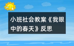 小班社會(huì)教案《我眼中的春天》反思