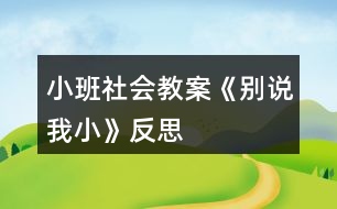 小班社會(huì)教案《別說(shuō)我小》反思