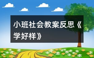 小班社會(huì)教案反思《學(xué)好樣》