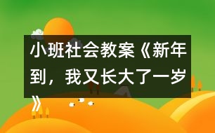 小班社會(huì)教案《新年到，我又長(zhǎng)大了一歲》反思