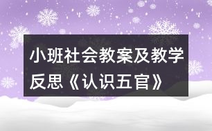 小班社會(huì)教案及教學(xué)反思《認(rèn)識(shí)五官》