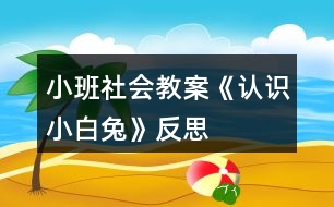 小班社會教案《認識小白兔》反思