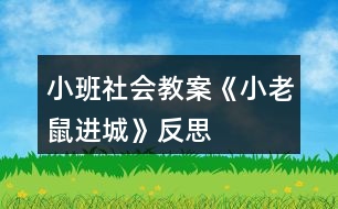 小班社會教案《小老鼠進城》反思