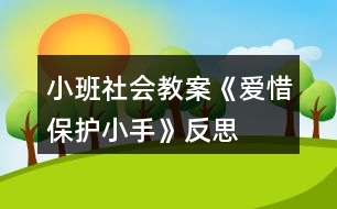 小班社會教案《愛惜、保護小手》反思