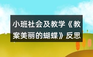 小班社會及教學《教案美麗的蝴蝶》反思