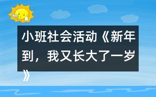 小班社會(huì)活動(dòng)《新年到，我又長(zhǎng)大了一歲》教學(xué)設(shè)計(jì)反思