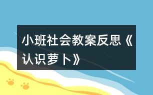 小班社會教案反思《認(rèn)識蘿卜》