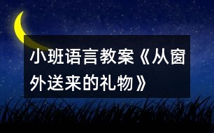 小班語(yǔ)言教案《從窗外送來(lái)的禮物》