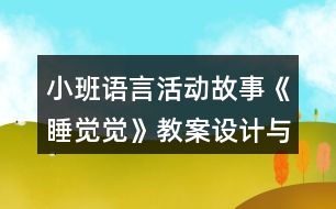 小班語言活動(dòng)故事《睡覺覺》教案設(shè)計(jì)與教學(xué)反思