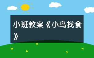 小班教案《小鳥(niǎo)找食》
