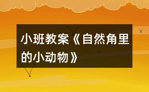 小班教案《自然角里的小動物》