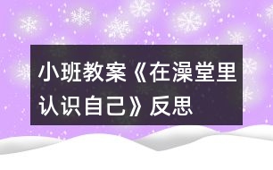 小班教案《在澡堂里認識自己》反思