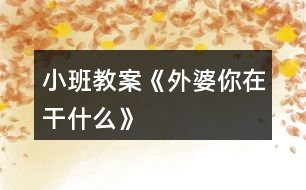 小班教案《外婆你在干什么》