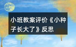 小班教案評(píng)價(jià)《小種子長(zhǎng)大了》反思