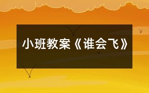 小班教案《誰(shuí)會(huì)飛》
