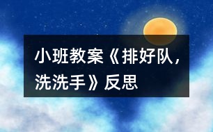 小班教案《排好隊(duì)，洗洗手》反思