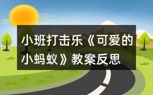 小班打擊樂(lè)《可愛(ài)的小螞蟻》教案反思