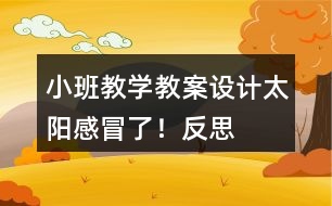 小班教學(xué)教案設(shè)計(jì)太陽(yáng)感冒了！反思