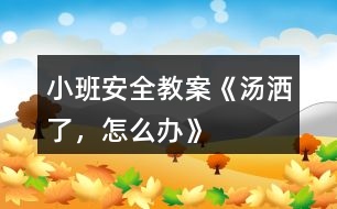 小班安全教案《湯灑了，怎么辦》