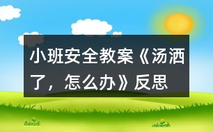 小班安全教案《湯灑了，怎么辦》反思