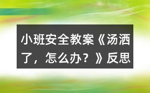 小班安全教案《湯灑了，怎么辦？》反思