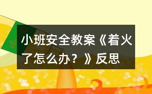 小班安全教案《著火了怎么辦？》反思