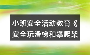 小班安全活動教育《安全玩滑梯和攀爬架》教學設計反思