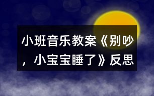 小班音樂教案《別吵，小寶寶睡了》反思