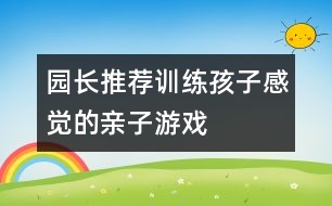 園長(zhǎng)推薦訓(xùn)練孩子感覺的親子游戲