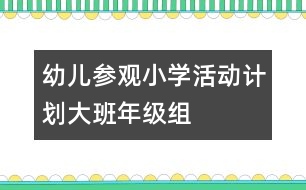 幼兒參觀小學活動計劃——大班年級組
