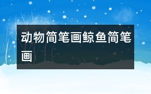 動物簡筆畫：鯨魚簡筆畫