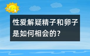 性愛解疑：精子和卵子是如何相會的？