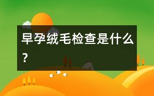 早孕絨毛檢查是什么？