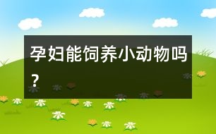 孕婦能飼養(yǎng)小動物嗎？