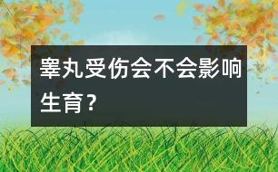 睪丸受傷會(huì)不會(huì)影響生育？