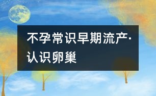 不孕常識(shí)：早期流產(chǎn)·認(rèn)識(shí)卵巢
