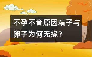 不孕不育原因：精子與卵子為何無緣？