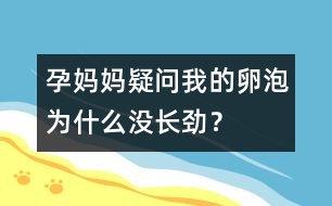 孕媽媽疑問：我的卵泡為什么沒長勁？