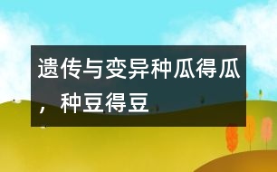遺傳與變異：種瓜得瓜，種豆得豆