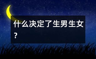什么決定了生男生女？