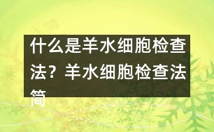 什么是羊水細胞檢查法？羊水細胞檢查法簡介